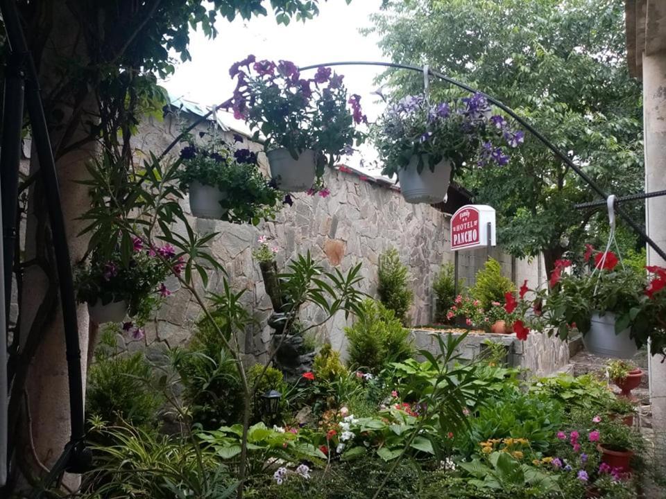 Pancho Family Hotel Kranewo Exterior foto